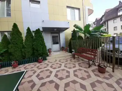 Паллада - 1
