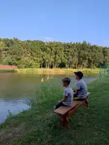 Дубрава - 10