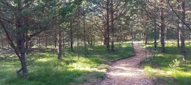 Тишина - 34