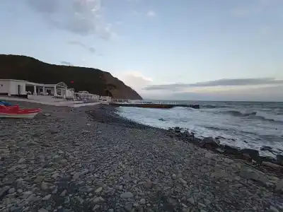 Лиманчик - 31