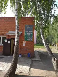 Лесное озеро - 27
