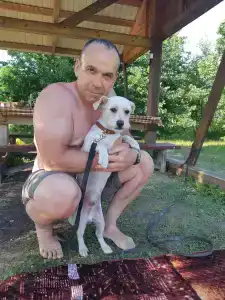 База отдыха Некрасовские Дачи - 86