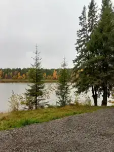 Металлург - 6