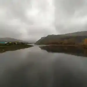 Автобус в лесу - 16
