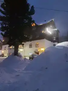 Три совы - 27