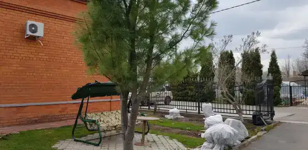 Волшебный Сад - 50