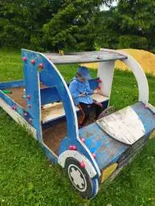 Львиный страус - 10