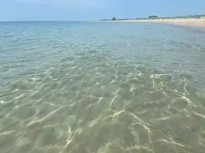 Paradise Beach - 6