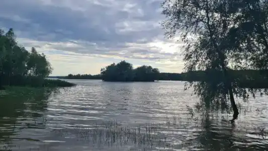 Клёвое местечко - 47