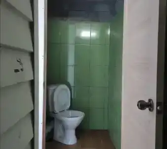 Золотари 5+ - 19
