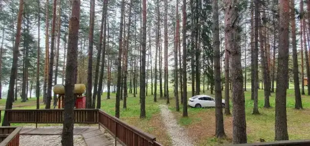 Коровашка - 1