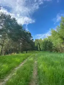 Русские просторы - 25