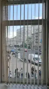 Земляника - 10