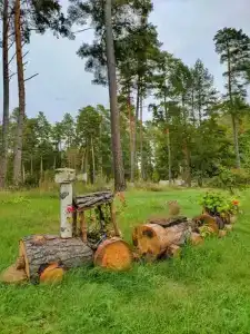 Славянка - 44