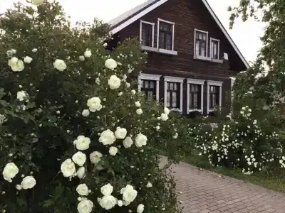 Старая Провинция - 10