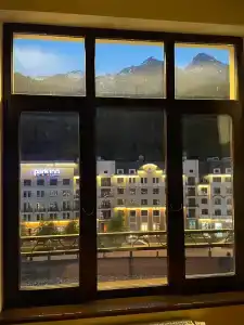 Голден Тюлип - 43