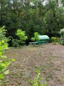 Светлана - 28