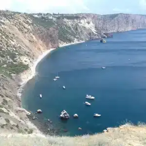 Розмарин - 1