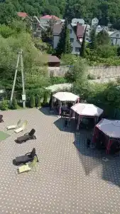 Каштан - 33