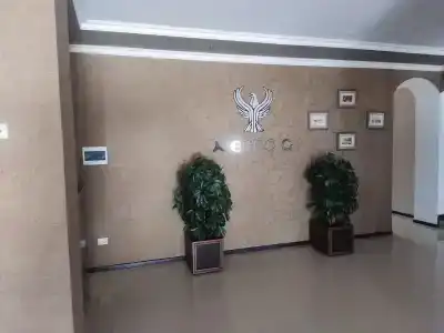 АЭТОС - 26