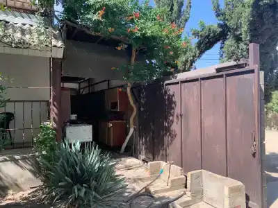 Амир-Дани - 36