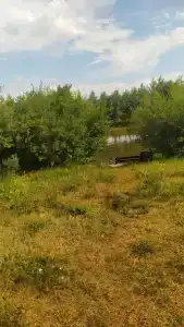 Ерши - 77