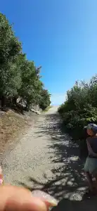 Лиманчик - 56