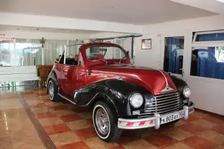 Дельфин - 9