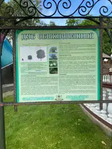 Николаевские Пруды - 86