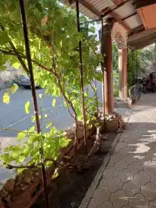 Ариан - 1