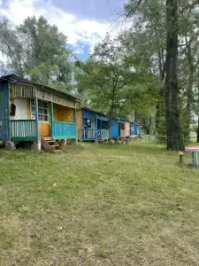 Тополя - 39