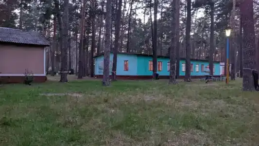 Ёлочка - 11