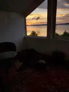 Коди Ярви - 41