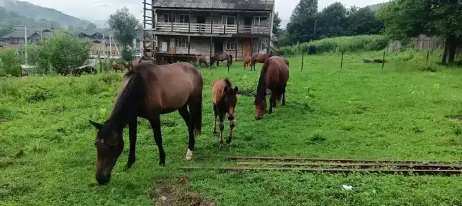 Скала Монах - 24