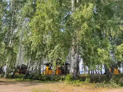 Успех - 5