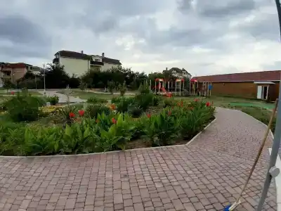 Гармония - 18