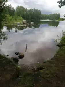 Васильево - 14