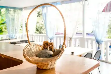 Альбатрос - 24