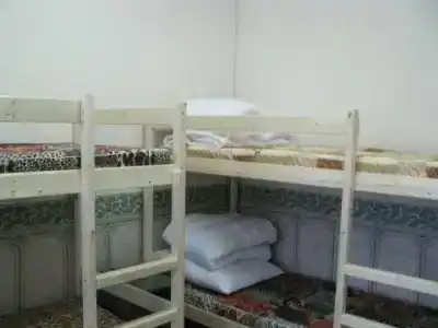 Антуриум - 31