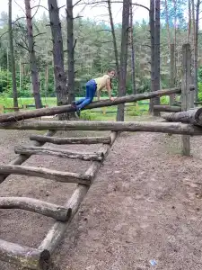 Андреевский - 12