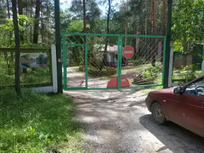 Рассвет - 13