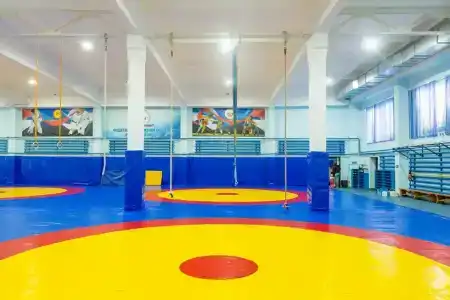 Спорт - 5