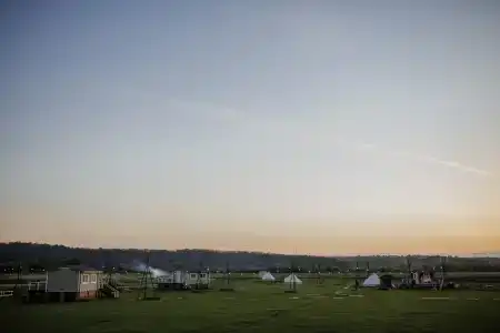 Сыч - 17