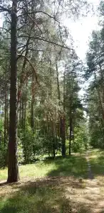 База отдыха Брестского олимпийского резерва - 2
