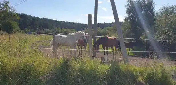 Туристический комплекс Ригола - 23