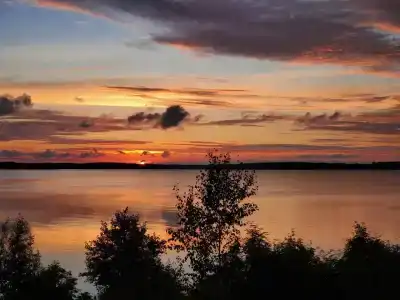 Коди Ярви - 1