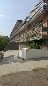 Родничок - 19