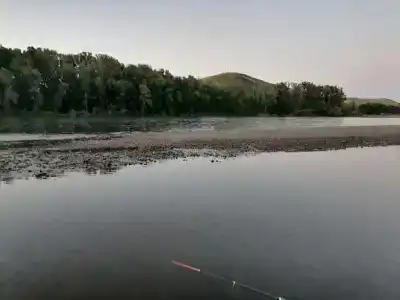 Чарыш - 5