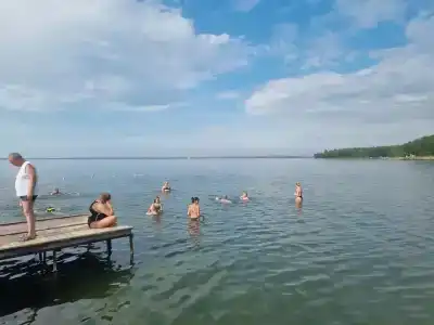 Берёзка - 98