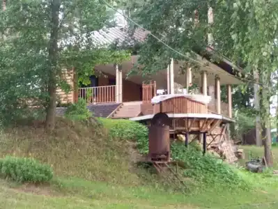 Зелёная роща - 11